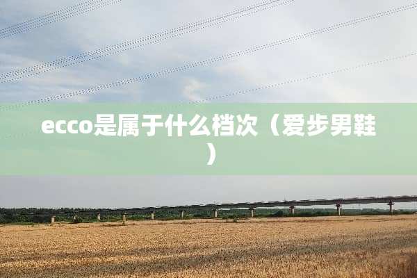 ecco是属于什么档次（爱步男鞋）