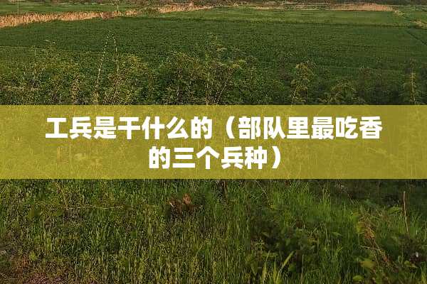 工兵是干什么的（**里最吃香的三个兵种）