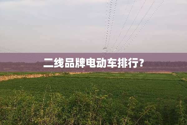 二线品牌电动车排行？