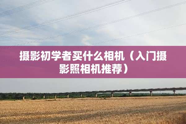 摄影初学者买什么相机（入门摄影照相机推荐）