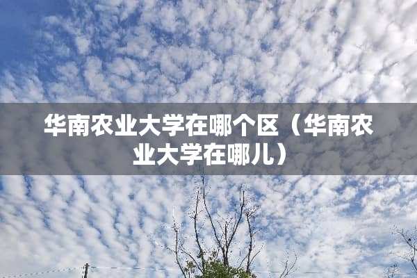 华南农业大学在哪个区（华南农业大学在哪儿）