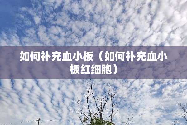 如何补充血小板（如何补充血小板红细胞）