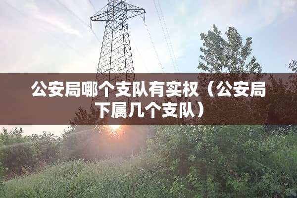 **局哪个支队有实权（**局下属几个支队）