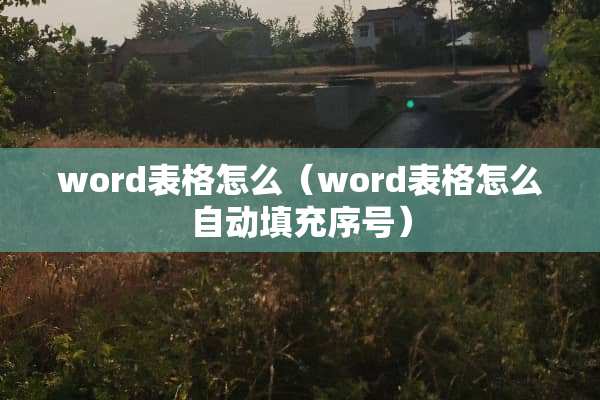 word表格怎么（word表格怎么自动填充序号）