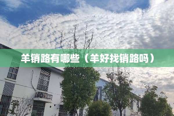 羊销路有哪些（羊好找销路吗）