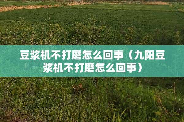 豆浆机不打磨怎么回事（九阳豆浆机不打磨怎么回事）