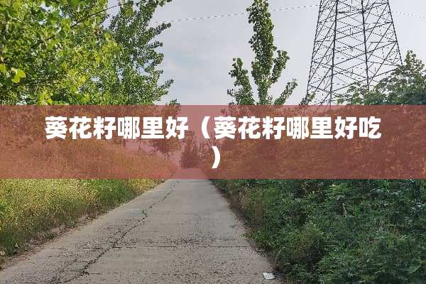 葵花籽哪里好（葵花籽哪里好吃）