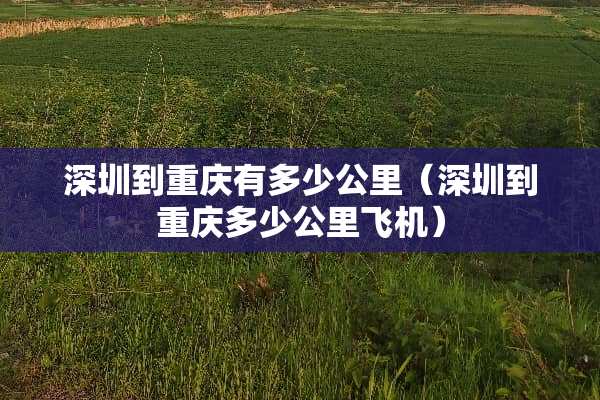 深圳到重庆有多少公里（深圳到重庆多少公里飞机）