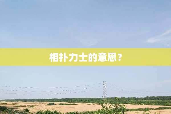 相扑力士的意思？