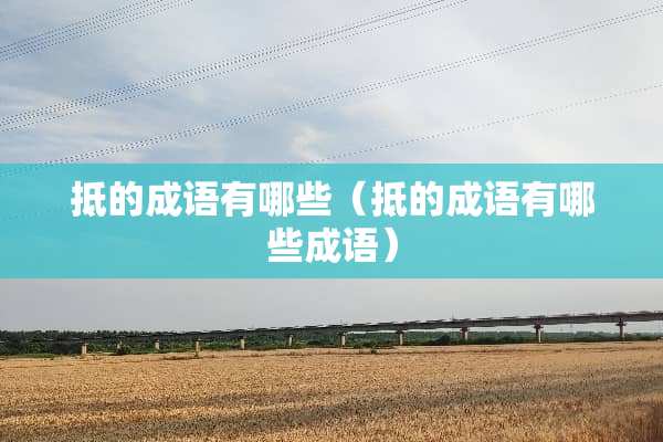 抵的成语有哪些（抵的成语有哪些成语）