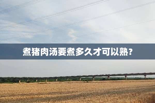 煮猪肉汤要煮多久才可以熟？