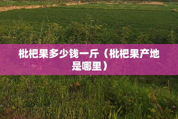 枇杷果多少钱一斤（枇杷果产地是哪里）