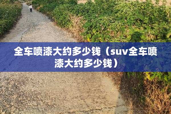 全车喷漆大约多少钱（suv全车喷漆大约多少钱）