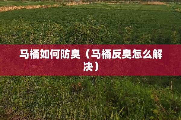 马桶如何防臭（马桶反臭怎么解决）