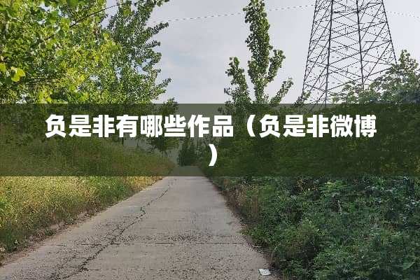 负是非有哪些作品（负是非微博）