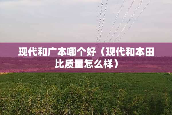 现代和广本哪个好（现代和本田比质量怎么样）