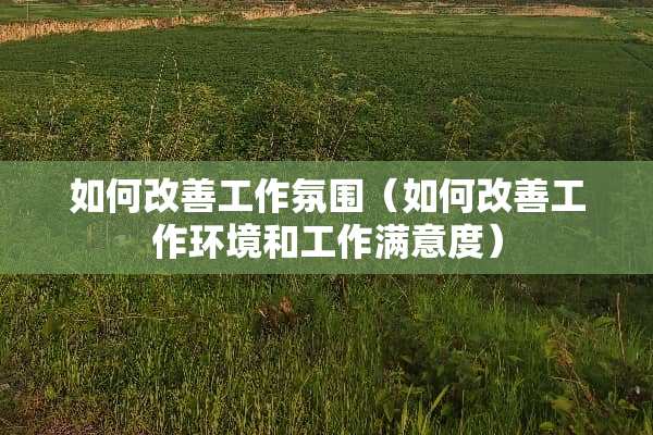 如何改善工作氛围（如何改善工作环境和工作满意度）