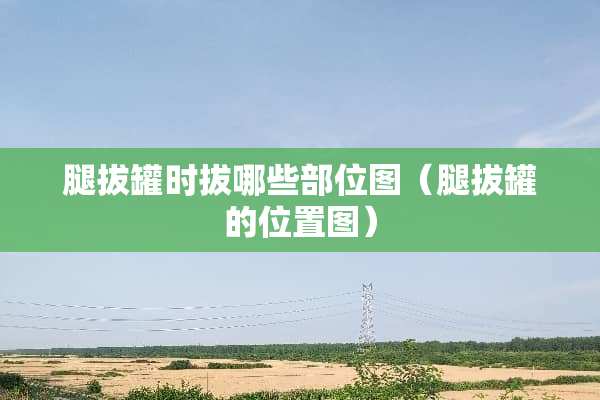 腿拔罐时拔哪些部位图（腿拔罐的位置图）