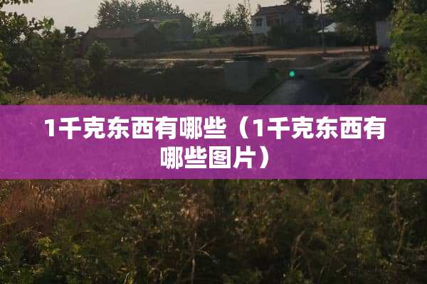 1千克东西有哪些（1千克东西有哪些图片）