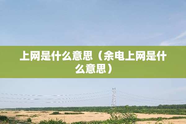 上网是什么意思（余电上网是什么意思）