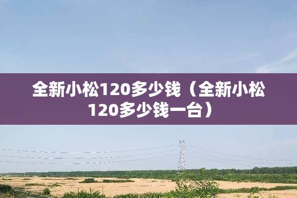 全新小松120多少钱（全新小松120多少钱一台）