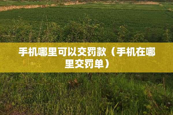 手机哪里可以交罚款（手机在哪里交罚单）