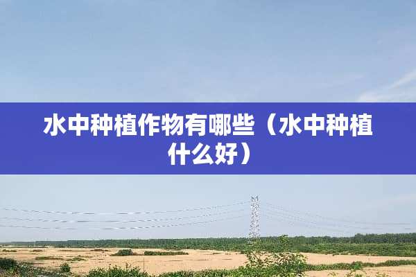 水中种植作物有哪些（水中种植什么好）