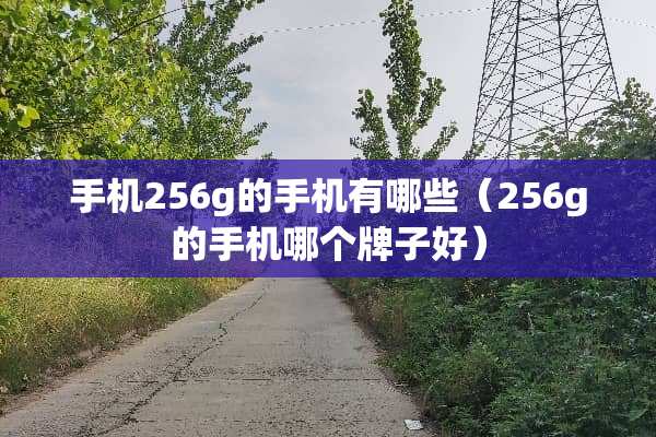 手机256g的手机有哪些（256g的手机哪个牌子好）