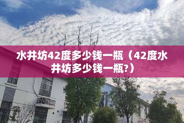 水井坊42度多少钱一瓶（42度水井坊多少钱一瓶?）