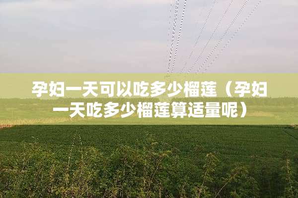 孕妇一天可以吃多少榴莲（孕妇一天吃多少榴莲算适量呢）