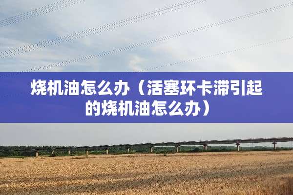 烧机油怎么办（活塞环卡滞引起的烧机油怎么办）