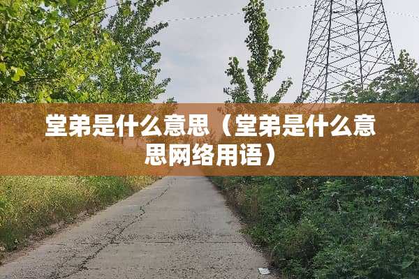 堂弟是什么意思（堂弟是什么意思网络用语）