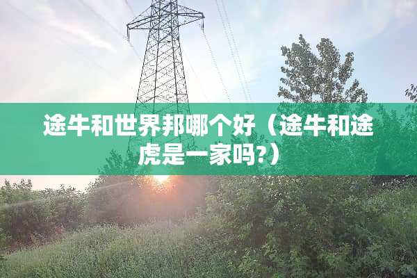 途牛和世界邦哪个好（途牛和途虎是一家吗?）