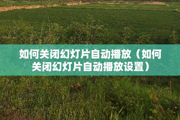 如何关闭幻灯片自动播放（如何关闭幻灯片自动播放设置）