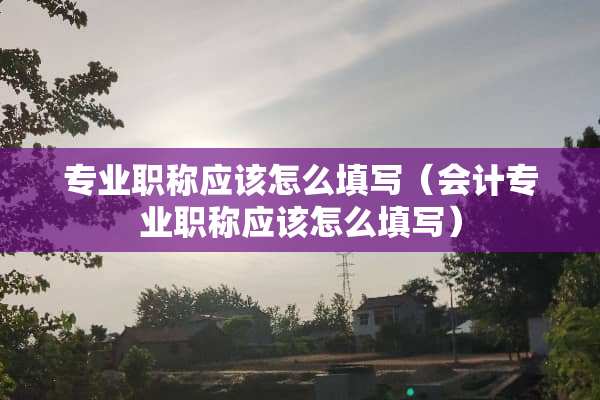 专业职称应该怎么填写（会计专业职称应该怎么填写）