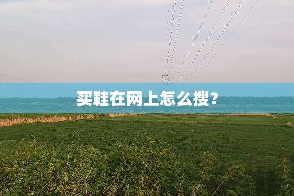 买鞋在网上怎么搜？