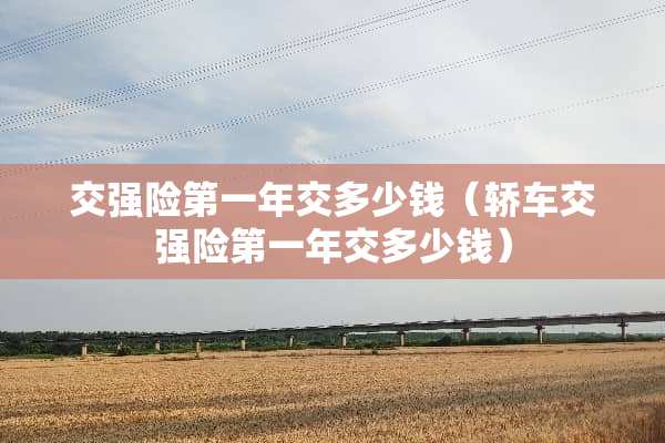 交强险第一年交多少钱（轿车交强险第一年交多少钱）