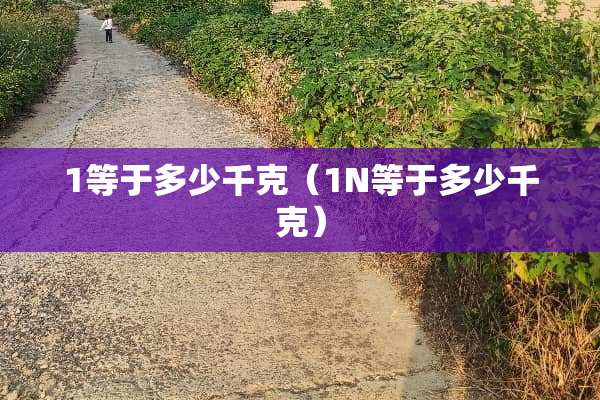 1等于多少千克（1N等于多少千克）
