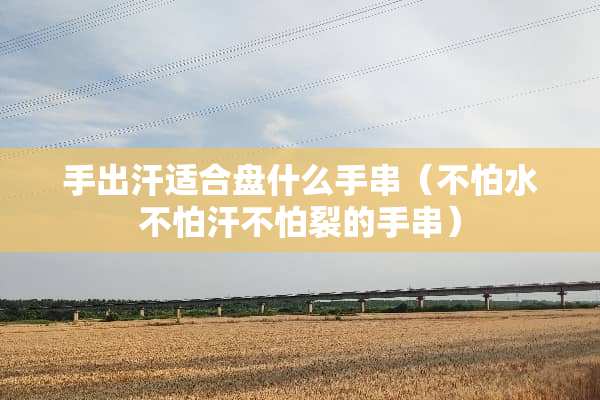 手出汗适合盘什么手串（不怕水不怕汗不怕裂的手串）