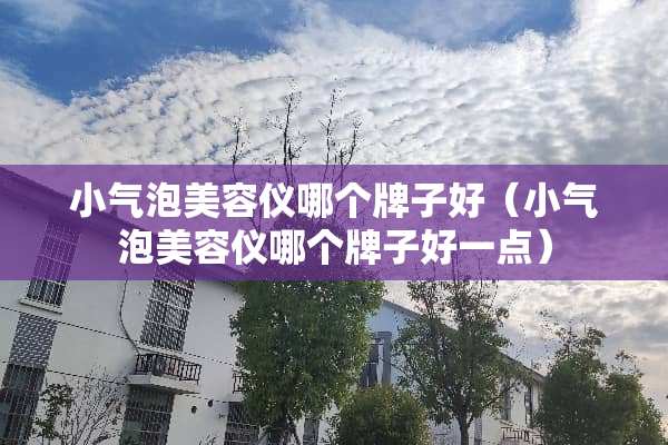 小气泡美容仪哪个牌子好（小气泡美容仪哪个牌子好一点）