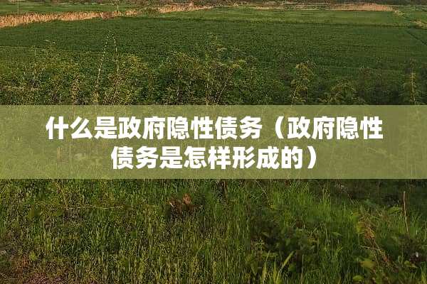 什么是**隐性债务（**隐性债务是怎样形成的）