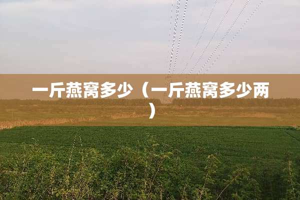 一斤燕窝多少（一斤燕窝多少两）