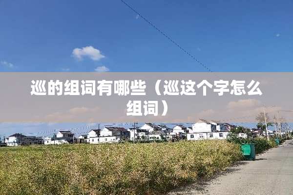 巡的组词有哪些（巡这个字怎么组词）
