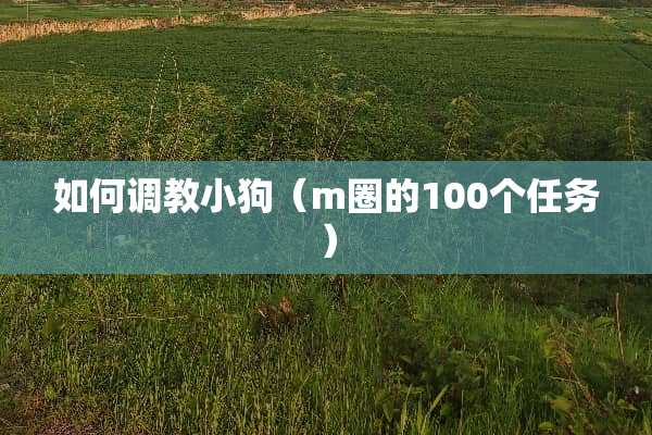 如何**小狗（m圈的100个任务）