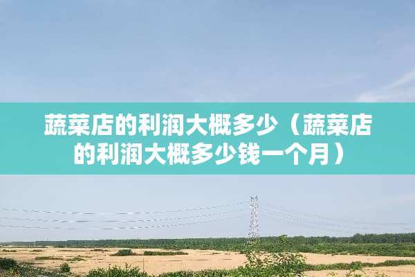 蔬菜店的利润大概多少（蔬菜店的利润大概多少钱一个月）