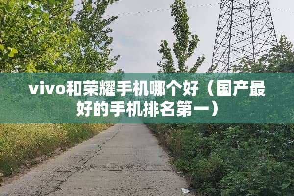 vivo和荣耀手机哪个好（国产最好的手机排名第一）