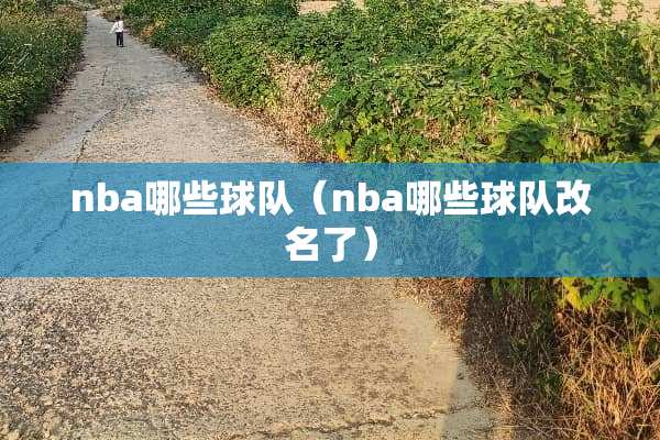 nba哪些球队（nba哪些球队改名了）