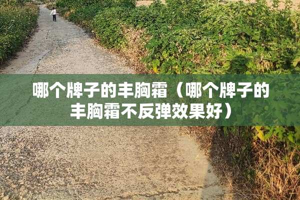 哪个牌子的丰胸霜（哪个牌子的丰胸霜不反弹效果好）