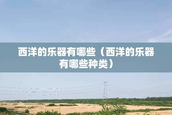 西洋的乐器有哪些（西洋的乐器有哪些种类）
