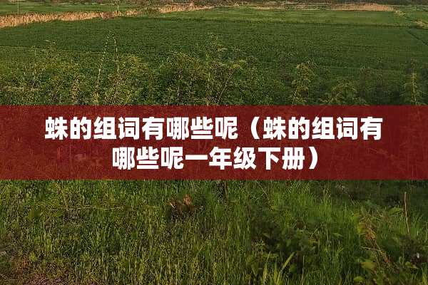 蛛的组词有哪些呢（蛛的组词有哪些呢一年级下册）